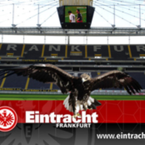 벨소리 Eintracht Frankfurt Fans Celebrating - earthquake effect