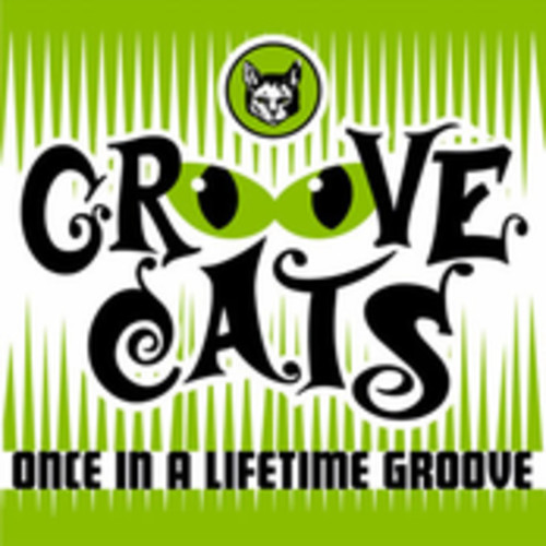벨소리 DANCEFLOOR 2 Groove Cats -Once In A Lifetime by CL - Groove Cats -Once In A Lifetime by CL