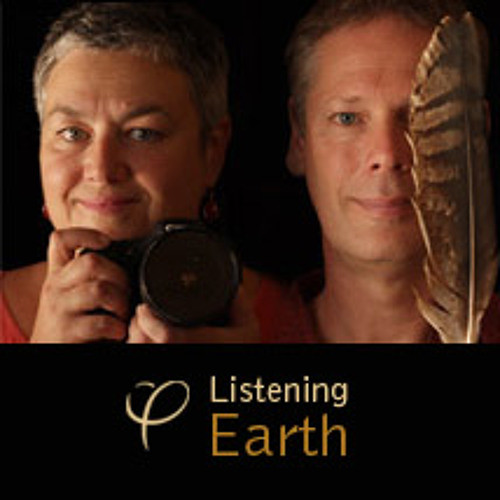 벨소리 Hippo Gratitude to SoundCloud from Listening Earth - SCOTD - Listening Earth