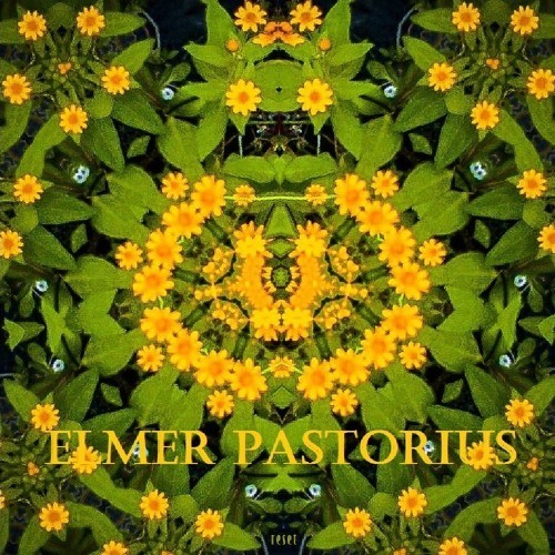벨소리 Elmer Pastorius