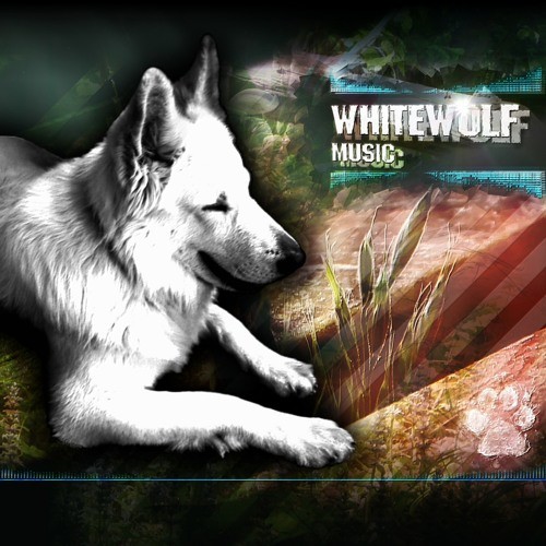 벨소리 WhiteWolf - Midnight lounge - whitewolfmusic