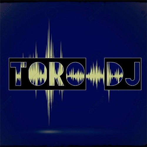 벨소리 TORO DJ
