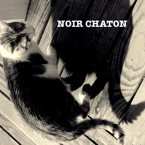 벨소리 Noir chaton - bluszcz