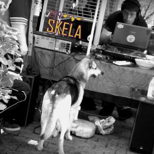 벨소리 Skela Ed Traak Wijk's tracks - Skela - Spinal en pain (Remix - Skela Native Fuss
